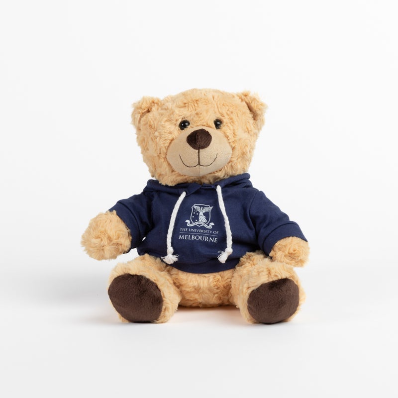 Soft toy - Barry the bear hoodie medium