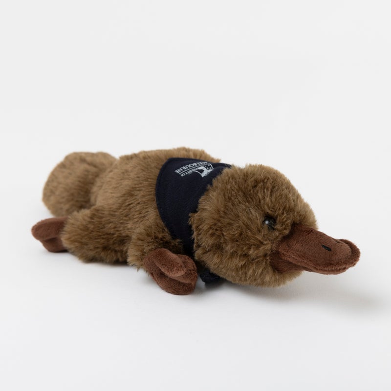 Soft toy - platypus small