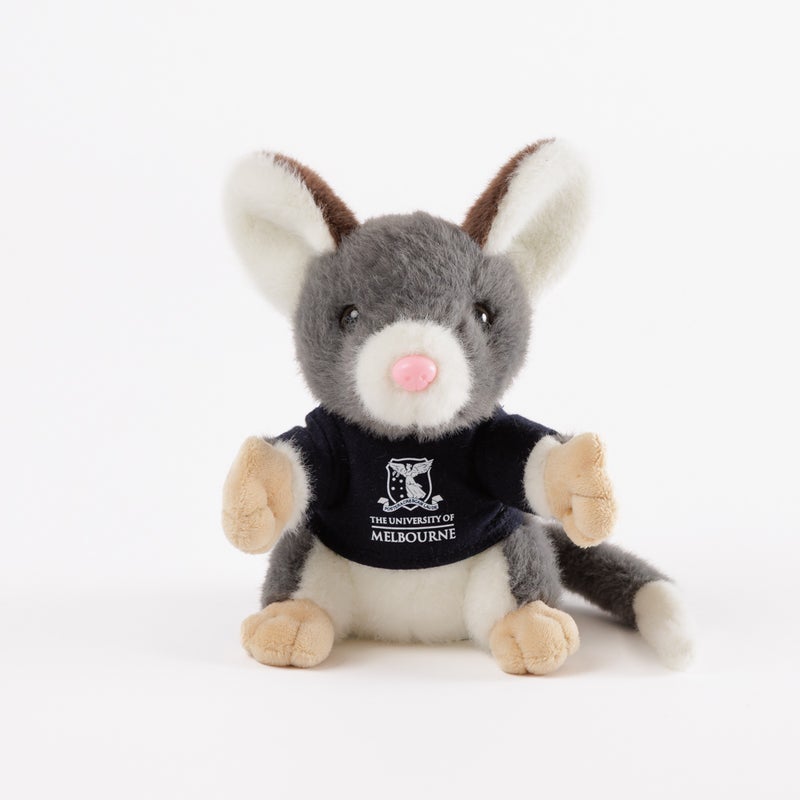 Soft toy - possum small