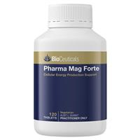 Bioceuticals Pharma Mag Forte 120 Tablet
