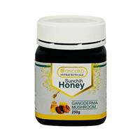 Concord Sunchih Honey | Antioxidant + Immunity Booster 250g