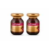 SpringLeaf Super Strength Cranberry 65000mg 60 Capsules