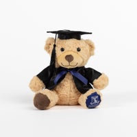 Soft toy - graduation bear medium 22cm
